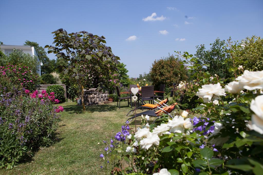 Ferienwohnung Am Korretsberg Kruft الغرفة الصورة